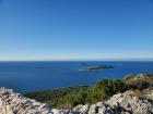 Here we can see the environment around the grape vines, a coast with vegetation and islands in the background