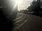 Here are what the tram tracks look like; when the tram isn't coming, people can drive or walk on the tracks