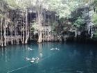 Cenotes of the Yucatán-pic5!