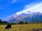 The views are beautiful from Thakali villages like Larjung!