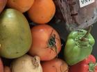 Many dishes in Senegal feature fresh produce, as fruit and vegetable stands are everywhere