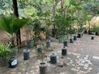 While there is a lot of plastic waste in Dakar (largely from people having to purchase bottled water), people find creative ways to recycle; several of the flowerpots in this mini garden on Goree Island are made from recycled water jugs!