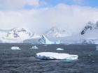 After crossing the Drake Passage, I'll arrive at the Antarctic Peninsula 
