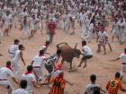 An unlucky person at the Running of the Bulls in Spain