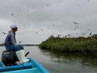 A local man from Bellavista, one of the people who takes care of the mangrove forests