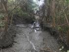 A beautiful wetland that deserved protection