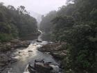 Stunningly beautiful Ranomafana National Park