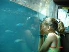 Me visiting an aquarium when I was 12, captivated by the fish