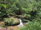 Stream running through camp, Ranomafana National Park