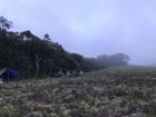 Camp at the southern parcel of the Lost Forest