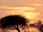 A Kenyan sunrise
