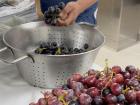Grapes are cut and washed in the kitchen, also known as the galley