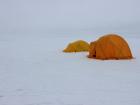 Tents set up on the ice