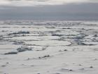 The sea ice landscape is constantly moving and changing