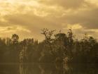 Different habitats support different forms of life