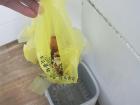 Yellow bag for food waste