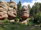 Rock formations in the Saechsische Schweiz