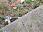 Flowers and crosses at a gravestone for those who died in 1945
