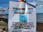 Caution sign about seals on beach