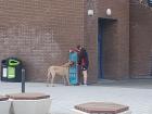 Great Dane-Approved Drinking Fountain