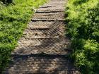 The path up a peak in Jeju. It is difficult to capture how steep some of these paths can get with no rails or ropes to hold on to