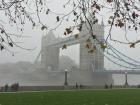 Tower Bridge surrounded  in fog