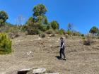 On a hike, I encountered a shepherd herding goats! 