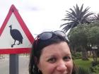 Displaying my love for guinea fowl  at the crossing in Swakopmund 