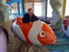 There was a Nemo at Namibia's National Aquarium! 