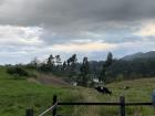 Views from her ranch in Cuenca