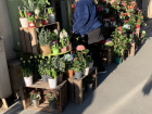 A traditional French floral shop 