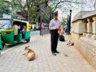 Cows aren't the only animals we see on the streets. There are also lots of stray dogs that wander the streets. This man helps feed the strays in his neighborhood