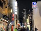  I will never get tired of walking in these pretty Osaka streets