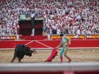 A matador (bull fighter) and a bull in the Plaza de Toros (bullfighting ring) 