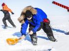 Scientists digging snow pits for sample collection