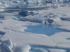 Melting snow creates ponds on top of the Arctic ice (Photo: Matt Shupe)