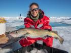 Fish caught by scientists through a hole in the ice! (Photo: Lianna Nixon)