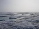 Walking the transect to take snow and ice thickness measurements in the fog (Photo: Antonia Immerz)