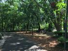 There are many running paths in Paraguayan Parks--the only thing is that is gets so hot here, you can only go for a run during the morning or evening
