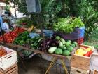 Lots of fresh vegetables at the market