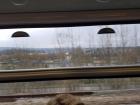 A picture of the landscape through the train window