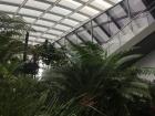  Inside view of the Sky Garden with all the different greens