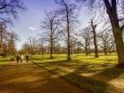 A nice day to walk in the Hyde Park