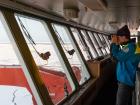 Looking out at the ice from the bridge of Polarstern