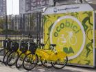 One of many bicycle stations in Buenos Aires (Source: InfoBae)