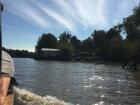 View from my water taxi in Tigre (April 2018)