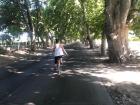 Riding through the vineyards of Maipú, Mendoza (March 2018)