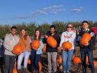 We gathered pumpkins to carve for Halloween (October 2019)
