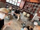 Hello Cat Cafe in Myeongdong, Seoul!