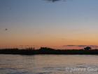 Sunset at the amazing Chobe National Park